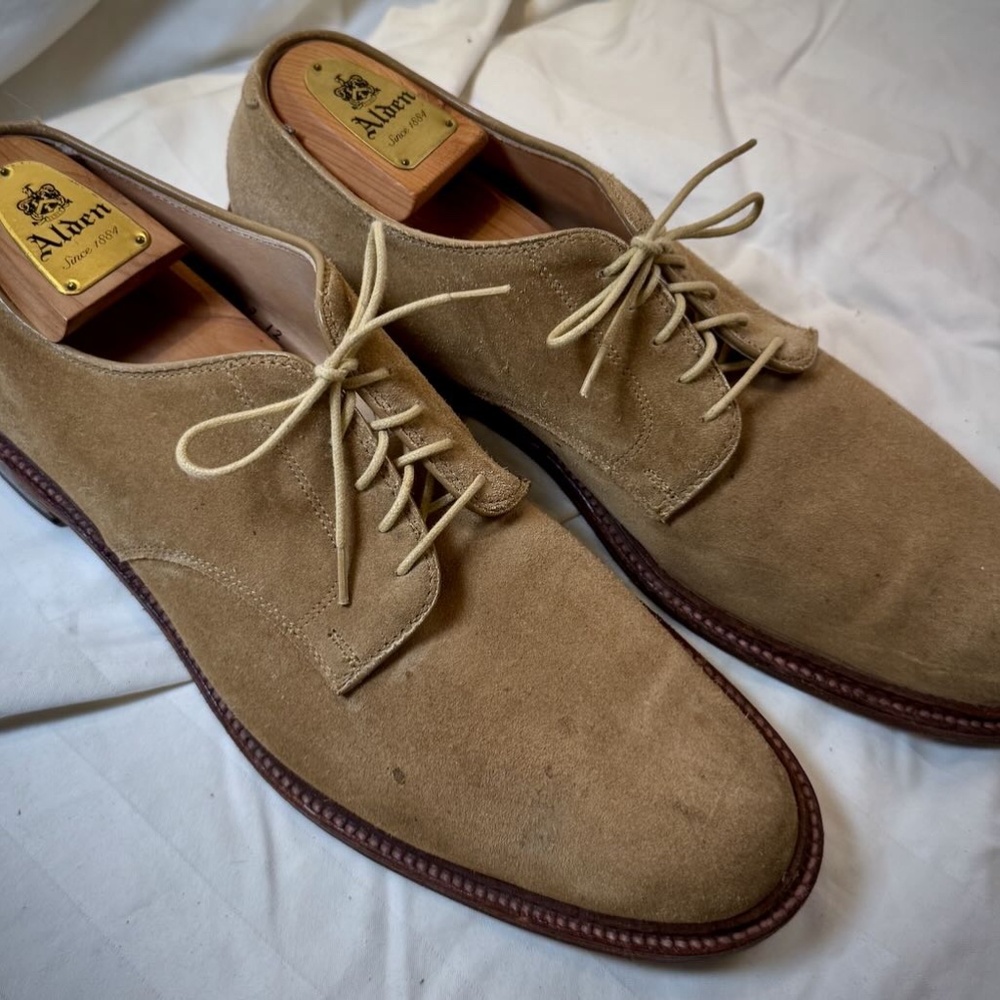 Alden Suede Plain Toe Blucher Size 13